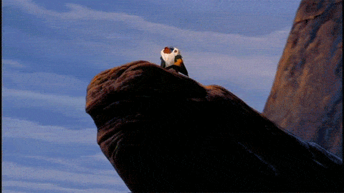 Gif: A scene from the The Lion King Rafiki (a monkey) holds up Simba (a baby lion) up to the sky to show off the new king. 