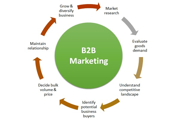 An infographic highlighting the stages of B2B marketing including market research, identifying buyers, and maintaining the business relationship.